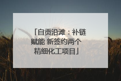自贡沿滩：补链赋能 新签约两个精细化工项目