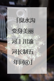 臭水沟变身美丽河丨川渝河长制五年间④