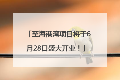 至海港湾项目将于6月28日盛大开业！