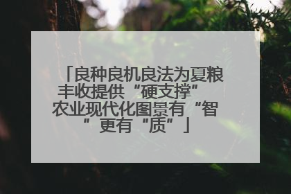 良种良机良法为夏粮丰收提供“硬支撑” 农业现代化图景有“智”更有“质”