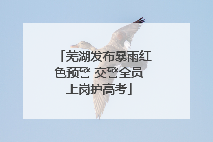 芜湖发布暴雨红色预警 交警全员上岗护高考