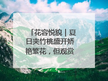 花容悦貌｜夏日夹竹桃盛开娇艳繁花，但观赏时“碰不得”