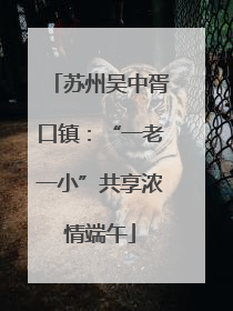 苏州吴中胥口镇：“一老一小”共享浓情端午