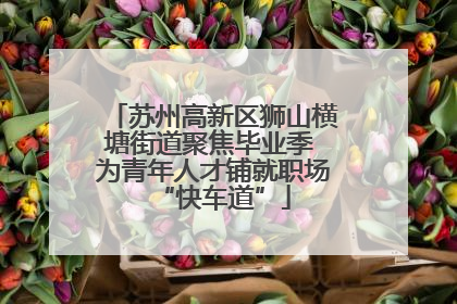 苏州高新区狮山横塘街道聚焦毕业季 为青年人才铺就职场“快车道”