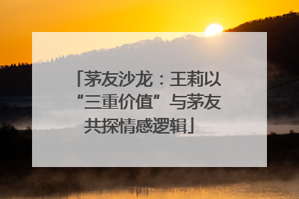 茅友沙龙：王莉以“三重价值”与茅友共探情感逻辑