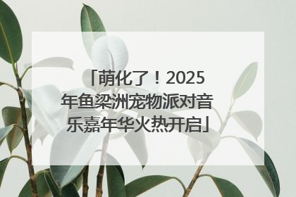 萌化了！2025年鱼梁洲宠物派对音乐嘉年华火热开启