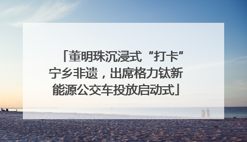 董明珠沉浸式“打卡”宁乡非遗，出席格力钛新能源公交车投放启动式