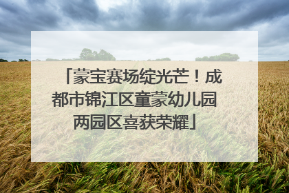 蒙宝赛场绽光芒！成都市锦江区童蒙幼儿园两园区喜获荣耀
