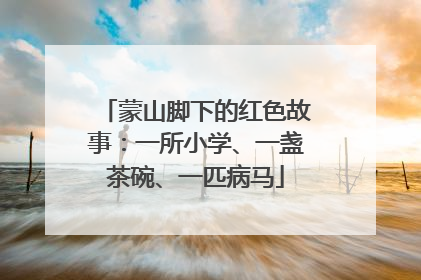蒙山脚下的红色故事：一所小学、一盏茶碗、一匹病马