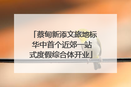 蔡甸新添文旅地标 华中首个近郊一站式度假综合体开业