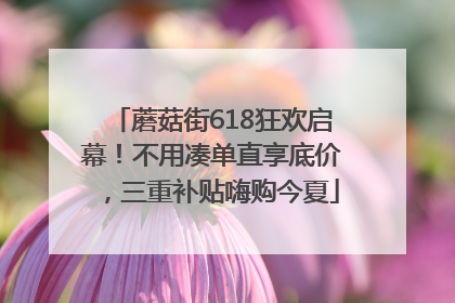 蘑菇街618狂欢启幕！不用凑单直享底价，三重补贴嗨购今夏