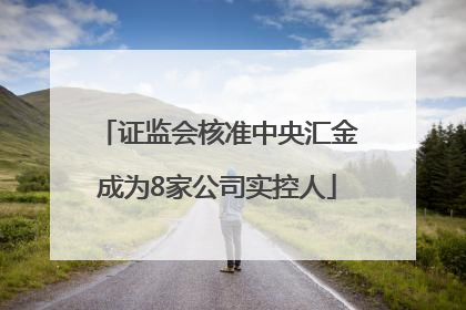 证监会核准中央汇金成为8家公司实控人