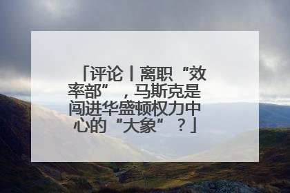 评论丨离职“效率部”，马斯克是闯进华盛顿权力中心的“大象”？
