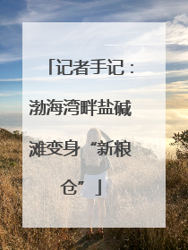 记者手记：渤海湾畔盐碱滩变身“新粮仓”