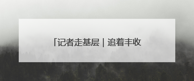 记者走基层｜追着丰收，麦客夫妻一路向北