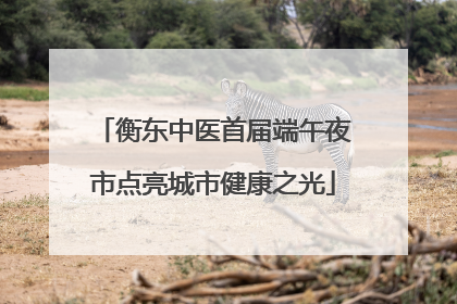 衡东中医首届端午夜市点亮城市健康之光