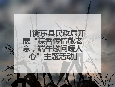 衡东县民政局开展“粽香传情敬老意，端午慰问暖人心”主题活动