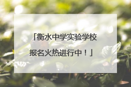 衡水中学实验学校报名火热进行中！
