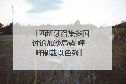 西班牙召集多国讨论加沙局势 呼吁制裁以色列