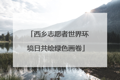 西乡志愿者世界环境日共绘绿色画卷