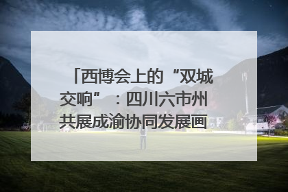 西博会上的“双城交响”：四川六市州共展成渝协同发展画卷｜西博视界