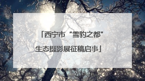 西宁市“雪豹之都”生态摄影展征稿启事