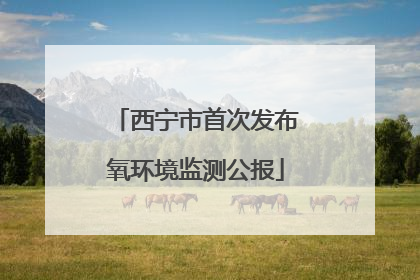 西宁市首次发布氧环境监测公报