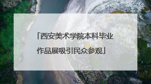 西安美术学院本科毕业作品展吸引民众参观