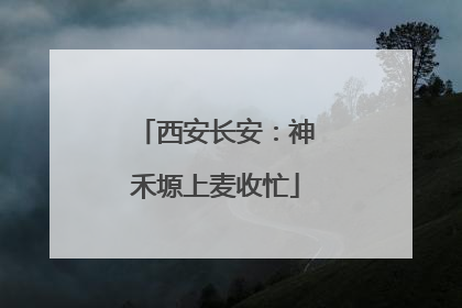 西安长安：神禾塬上麦收忙