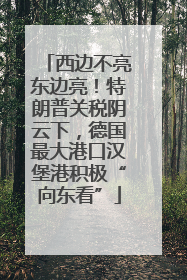 西边不亮东边亮！特朗普关税阴云下，德国最大港口汉堡港积极“向东看”