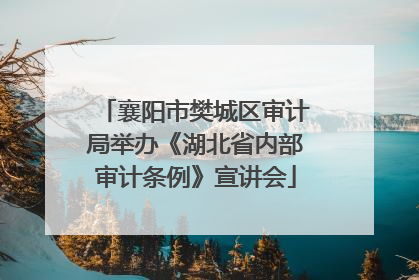 襄阳市樊城区审计局举办《湖北省内部审计条例》宣讲会