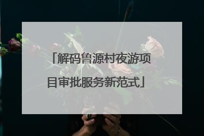 解码鲁源村夜游项目审批服务新范式