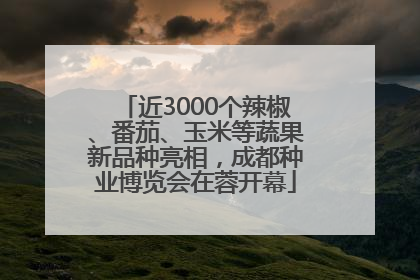 近3000个辣椒、番茄、玉米等蔬果新品种亮相，成都种业博览会在蓉开幕