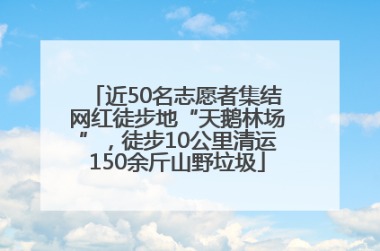 近50名志愿者集结网红徒步地“天鹅林场”，徒步10公里清运150余斤山野垃圾
