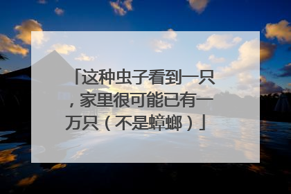 这种虫子看到一只，家里很可能已有一万只（不是蟑螂）