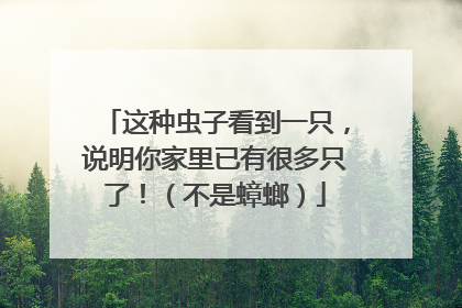 这种虫子看到一只，说明你家里已有很多只了！（不是蟑螂）