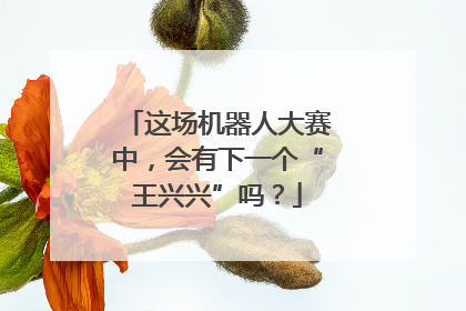 这场机器人大赛中，会有下一个“王兴兴”吗？