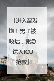 进入高发期！男子被咬后，紧急送入ICU抢救