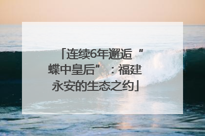 连续6年邂逅“蝶中皇后”：福建永安的生态之约