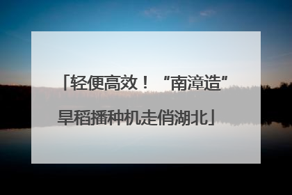 轻便高效！“南漳造”旱稻播种机走俏湖北