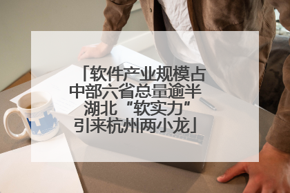 软件产业规模占中部六省总量逾半 湖北“软实力”引来杭州两小龙