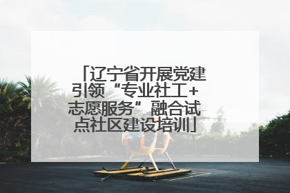 辽宁省开展党建引领“专业社工+志愿服务”融合试点社区建设培训