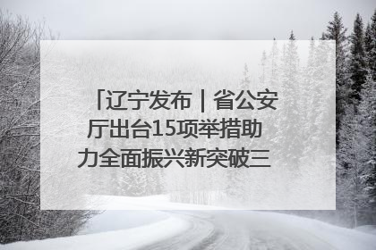 辽宁发布｜省公安厅出台15项举措助力全面振兴新突破三年行动决胜之战