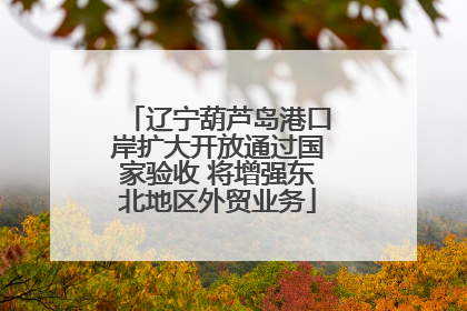 辽宁葫芦岛港口岸扩大开放通过国家验收 将增强东北地区外贸业务