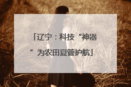 辽宁：科技“神器”为农田夏管护航