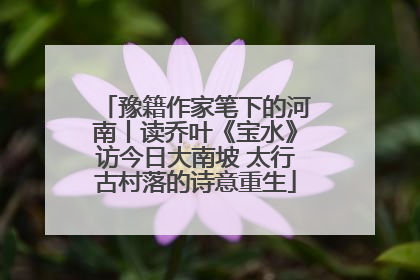 豫籍作家笔下的河南丨读乔叶《宝水》访今日大南坡 太行古村落的诗意重生