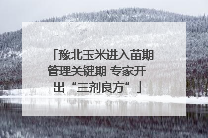 豫北玉米进入苗期管理关键期 专家开出“三剂良方”