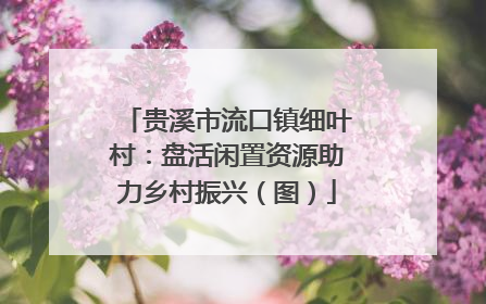 贵溪市流口镇细叶村：盘活闲置资源助力乡村振兴（图）