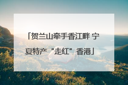 贺兰山牵手香江畔 宁夏特产“走红”香港