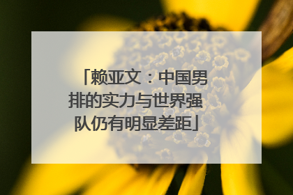 赖亚文：中国男排的实力与世界强队仍有明显差距
